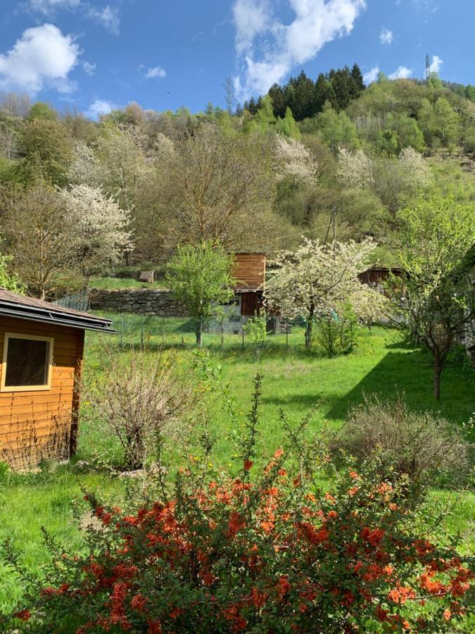 B&B Cuore Verde Поск'яво Екстер'єр фото